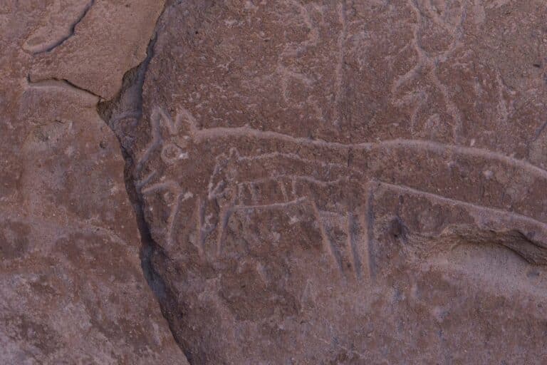 Copia-de-yerbas-buenas-3-1