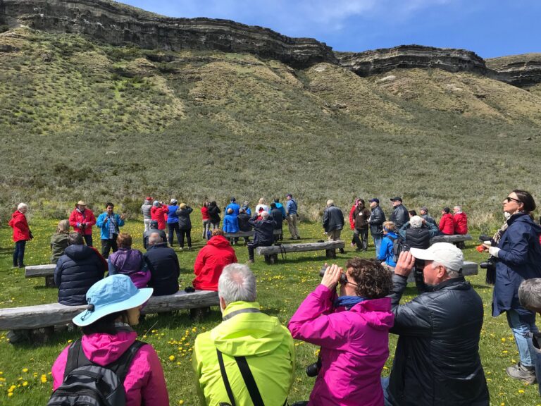 Condor Watching Half Day Tour