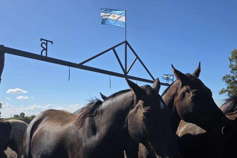 Estancia Santa Susana