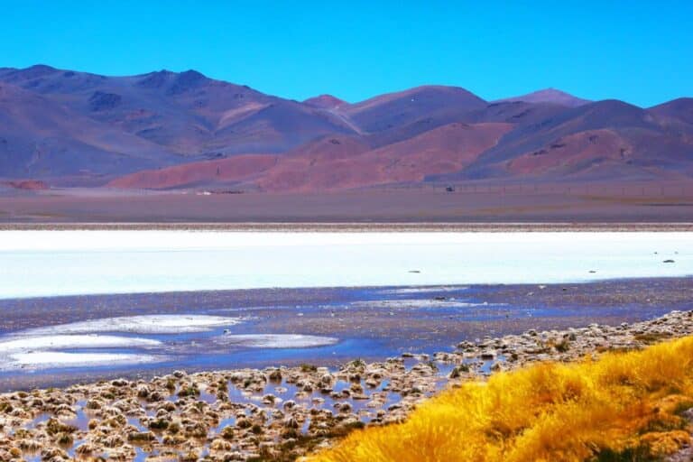Nevado Tres Cruces National Park