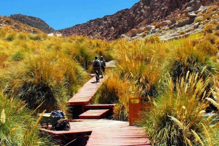 Puritama Hot Springs