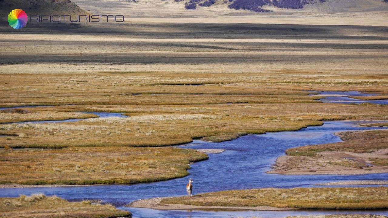 Estancia La Oriental Patagonia