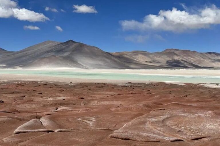 Altiplanic Lagoons and Piedras Rojas