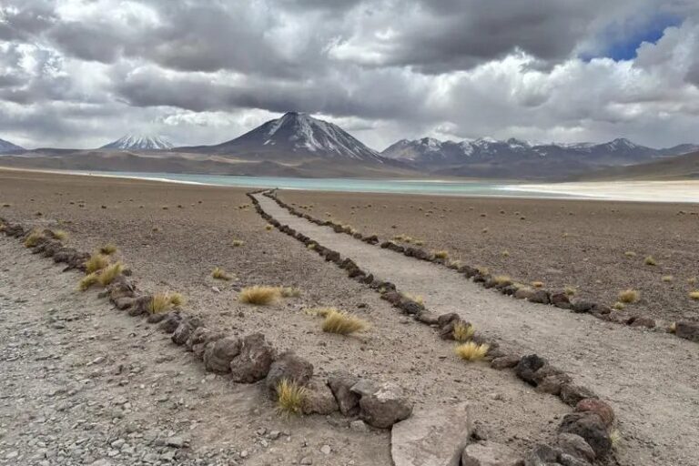 Altiplanic Lagoons and Piedras Rojas