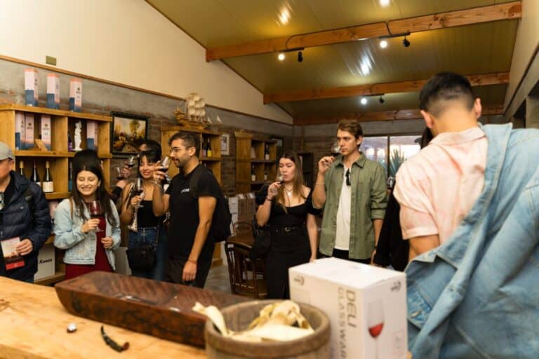 Vallenar Wine & Stars