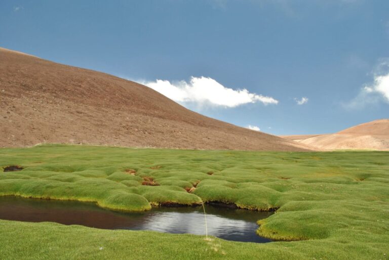 Nevado Tres Cruces National Park