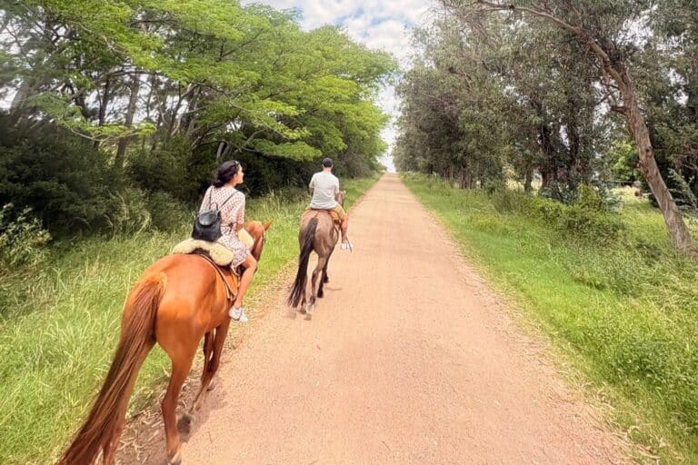 Horseback Riding Colonia