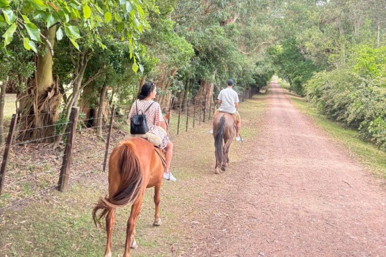 Horseback Riding Colonia