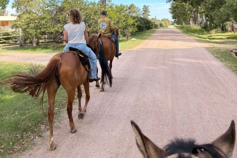 Horseback Riding Colonia