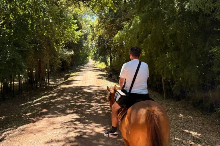 Horseback Riding Colonia