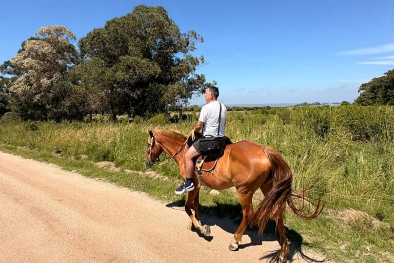 Horseback Riding Colonia