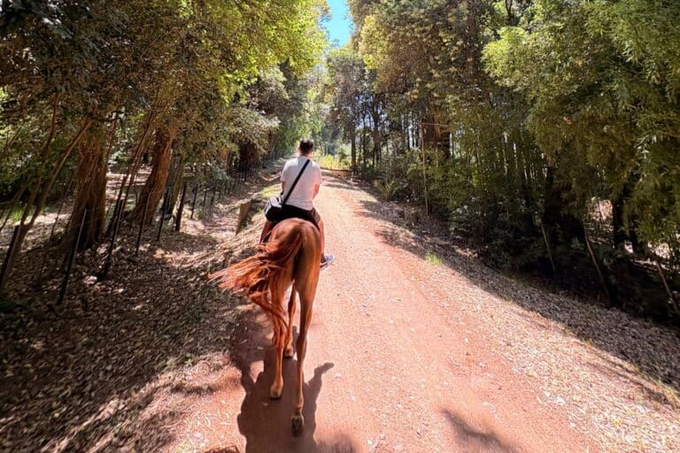 Horseback Riding Colonia