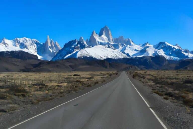 El Calafate - Puerto Natales Bus