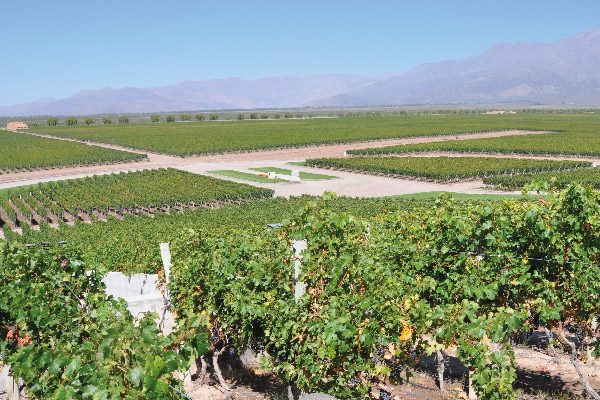 Wine Tours - Argentina